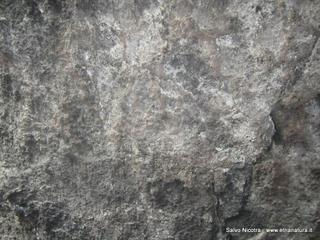 otta Campana-17-04-2014 18-34-31